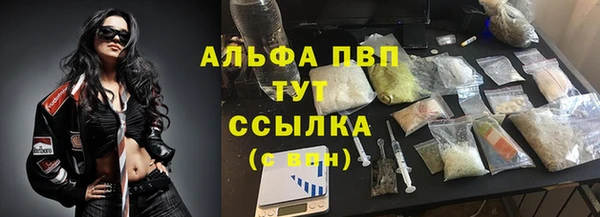 spice Волосово