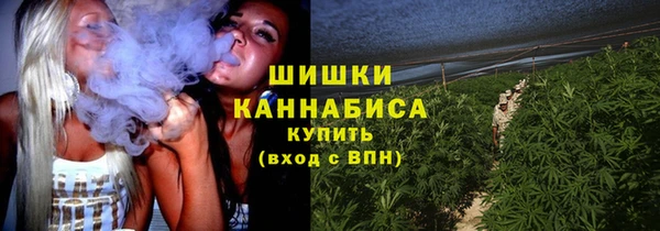 spice Волосово